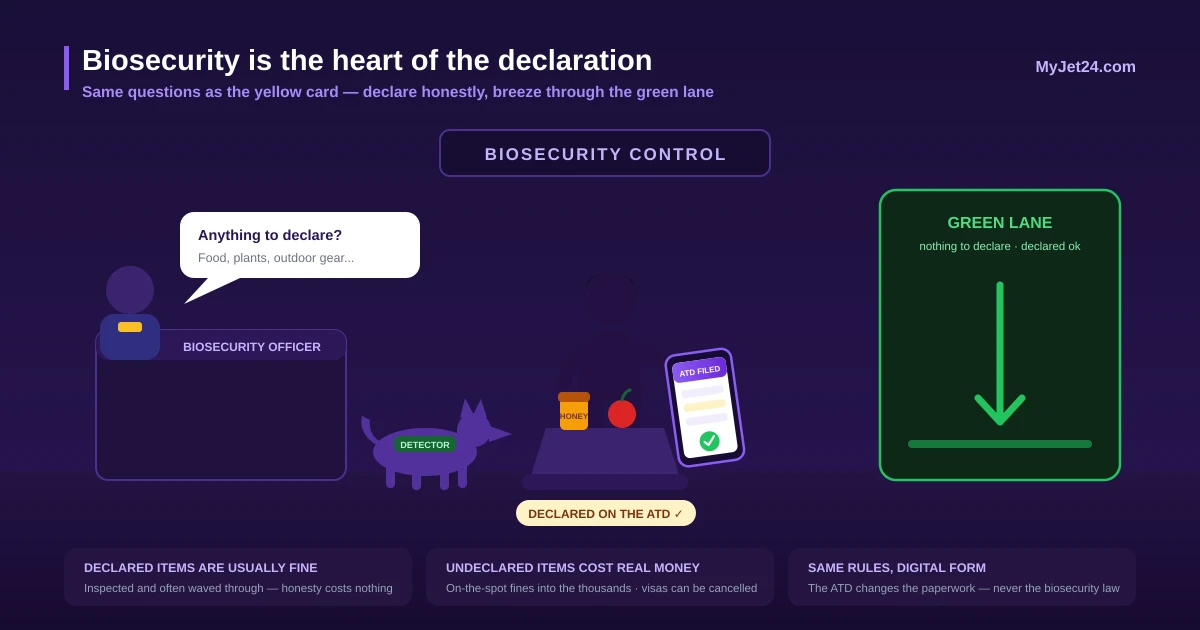 Australian biosecurity check on arrival — declared food items, detector dog and the digital Australia Travel Declaration on a phone